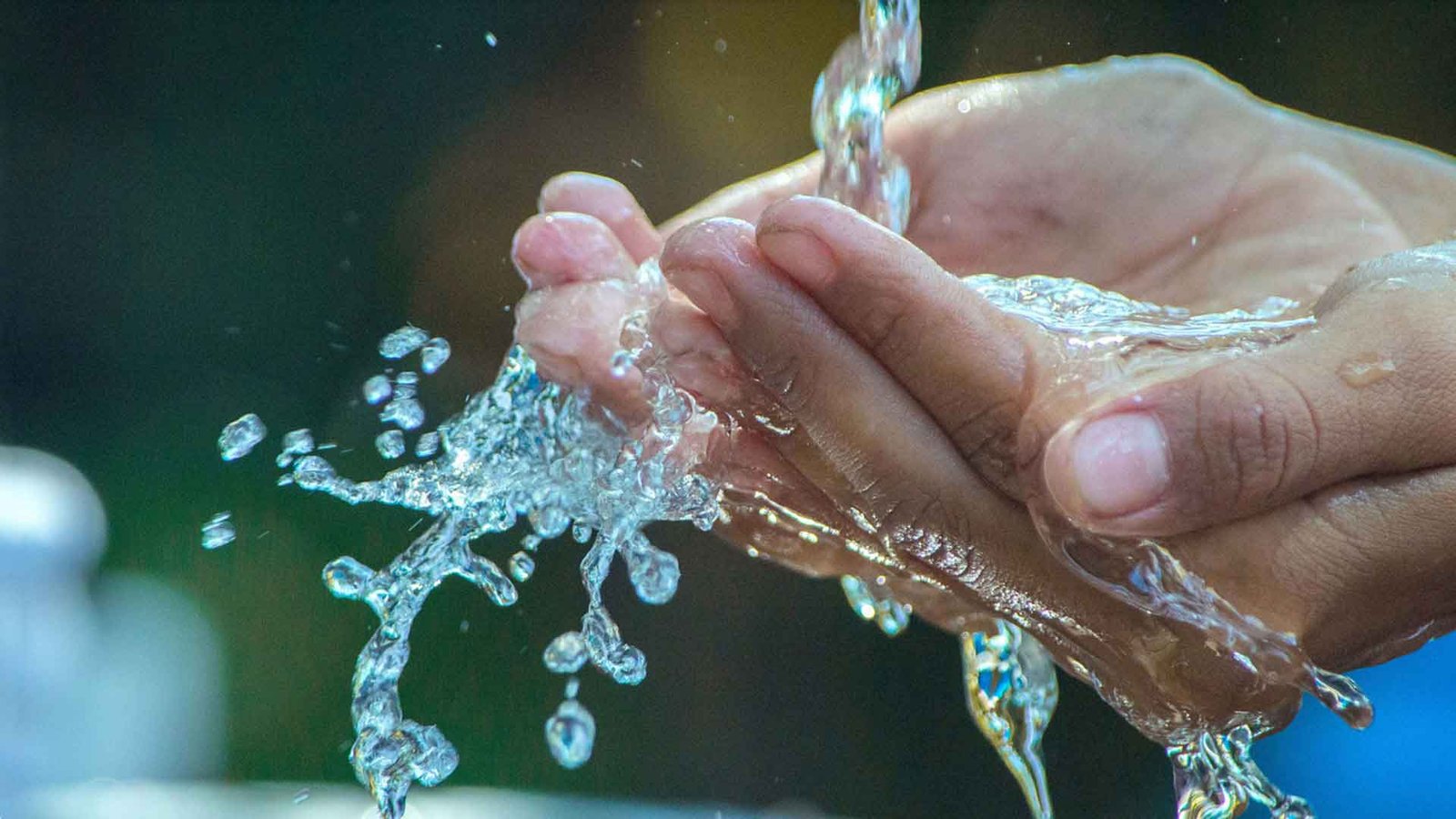 Custom Label Bottles